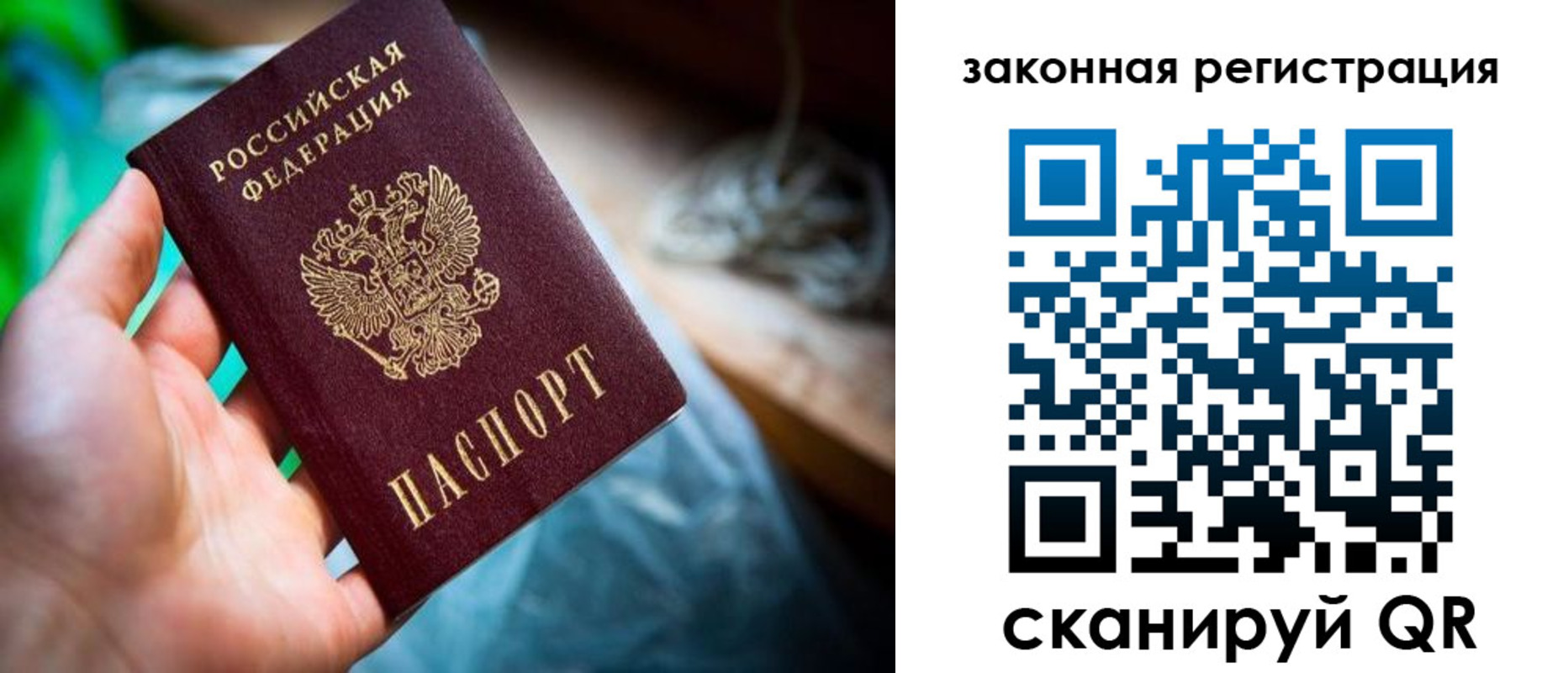 прописка в Заинске